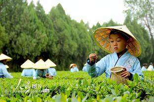 外线失准！范弗里特8投2中得到11分5板9助3断 三分3中0